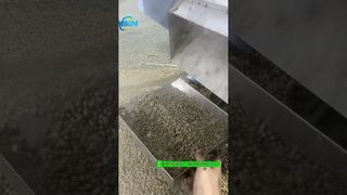 Testowanie maszyny do wytłaczania granulatu pływającej paszy dla ryb o wydajności 200 kg/h przed pakowaniem #fishfeedmachine