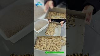 Linia do produkcji pelletu paszowego dla ryb DGP-85 | Wprowadzenie i pełna demonstracja procesu#fishfeedproductionline