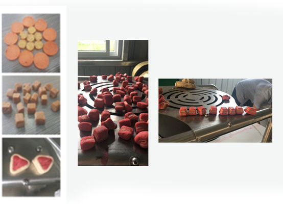 Przysmaki typu Jerky / Linia do przetwarzania karmy dla zwierząt / Maszyna do produkcji karmy dla zwierząt metodą wytłaczania na zimno