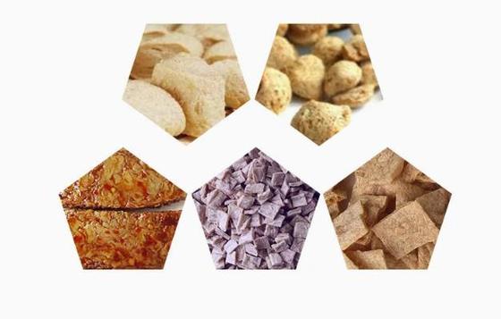 Angielska Wersja Linii Produkcyjnej Białka Sojowego / Maszyna do Produkcji Kawałków Sojowych Format AutoCAD