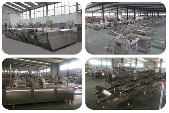 Linia do produkcji suszonej karmy dla zwierząt ze stali nierdzewnej 300-500 kg / godz