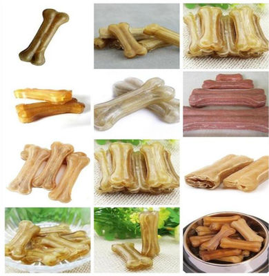 Wciśnięty Pies żuje psią karmową żywność linię przetwarzania / karmy dla zwierząt maszyny